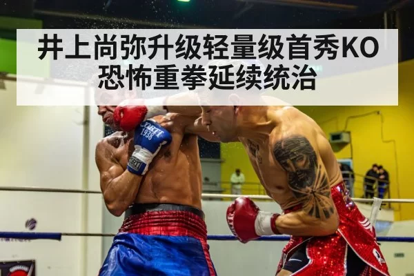 boxing knockout punch
